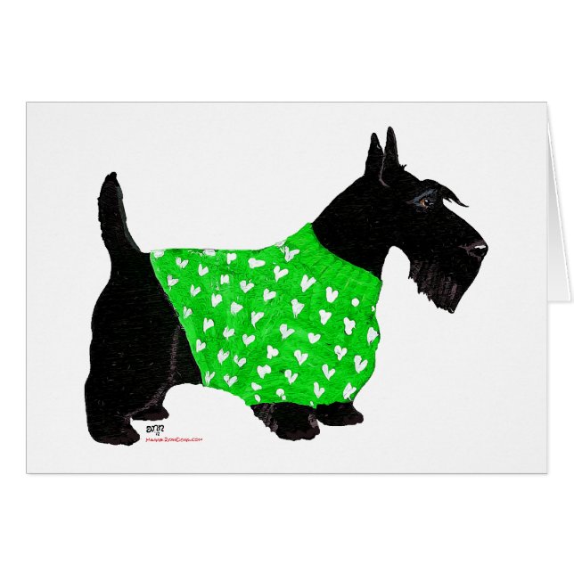 Schotse Terrier in een Trui (Voorkant Horizontaal)