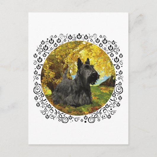Schotse Terrier in herfstbossen Briefkaart (Voorkant)