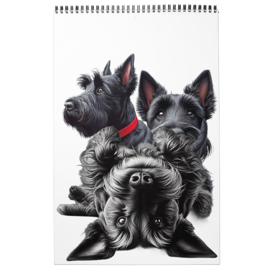 SCHOTSE TERRIER in Kalender (Hoes)