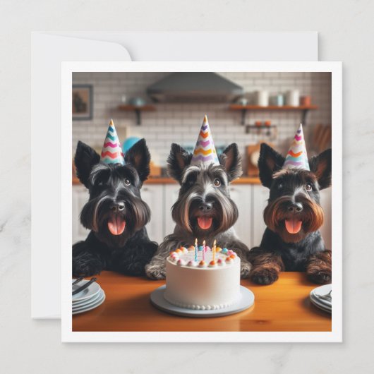 Schotse terrier kaart, Schotse terrier verjaardag Kaart (Voorkant)