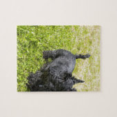 Schotse Terrier Legpuzzel (Horizontaal)