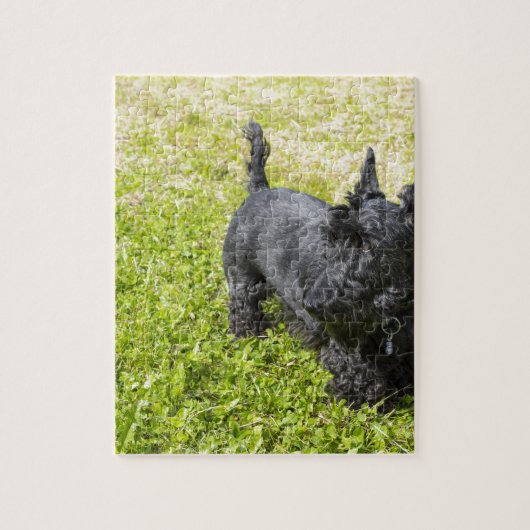 Schotse Terrier Legpuzzel (Verticaal)