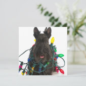 Schotse Terrier met kerstverlichting Feestdagenkaart (Staand voorkant)