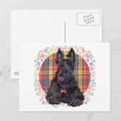 Schotse Terrier op Buchanan Plaid Briefkaart (Voorkant / Achterkant)