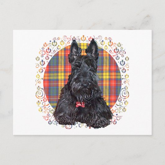 Schotse Terrier op Buchanan Plaid Briefkaart (Voorkant)