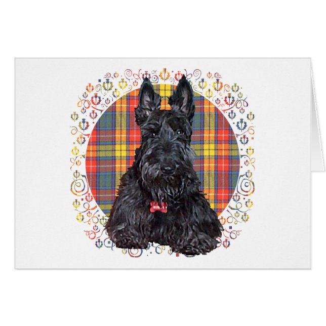 Schotse Terrier op Buchanan Schotlandse ruit (Voorkant Horizontaal)