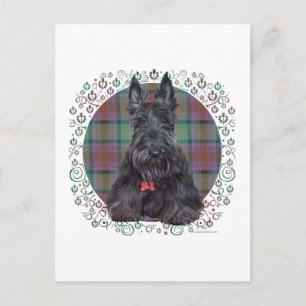 Schotse Terrier op Tartan Briefkaart