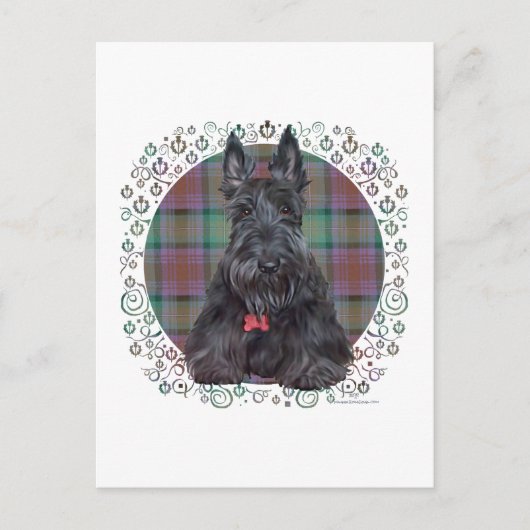 Schotse Terrier op Tartan Briefkaart (Voorkant)