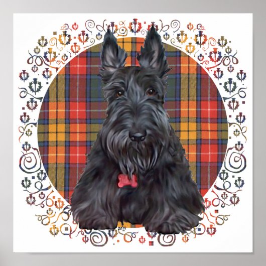 Schotse Terrier op Tartan Poster (Voorkant)