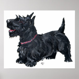 Schotse Terrier Poster