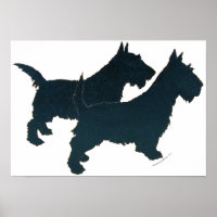 Schotse Terrier Poster