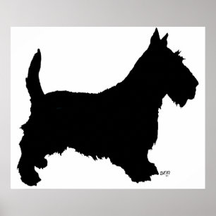 Schotse Terrier Poster