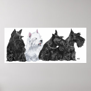 Schotse Terrier Poster