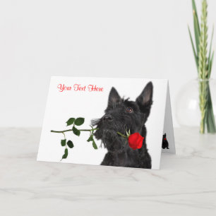 Schotse Terrier Puppy Red Rose Valentijn Design Feestdagen Kaart