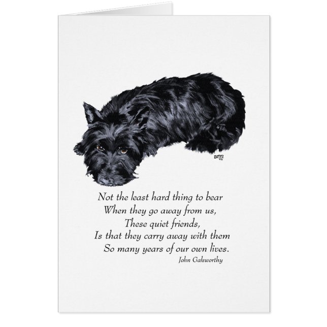 Schotse Terrier Regenboogbrug (Voorkant)