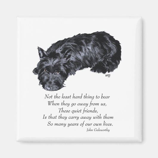 Schotse Terrier Regenboogbrug Magneet (Voorkant)