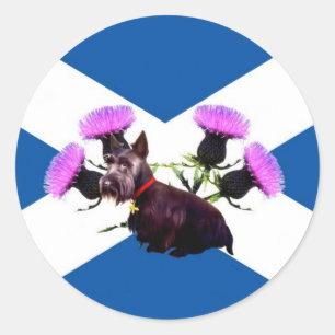 Schotse terriër ronde sticker