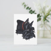 Schotse Terriër Rustend Briefkaart (Staand voorkant)