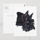 Schotse Terriër Rustend Briefkaart (Voorkant / Achterkant)