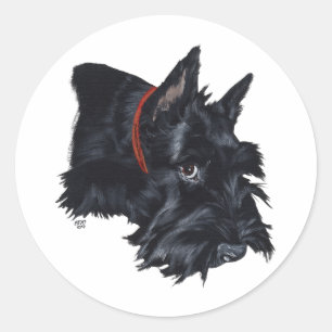 Schotse Terrier Rustend Ronde Sticker