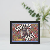 Schotse Terriër Scottys Beste Hond Briefkaart (Staand voorkant)