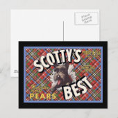 Schotse Terriër Scottys Beste Hond Briefkaart (Voorkant / Achterkant)