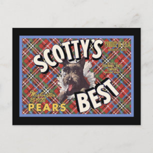 Schotse Terriër Scottys Beste Hond Briefkaart