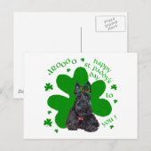 Schotse Terrier St. Paddys Day Briefkaart (Voorkant / Achterkant)