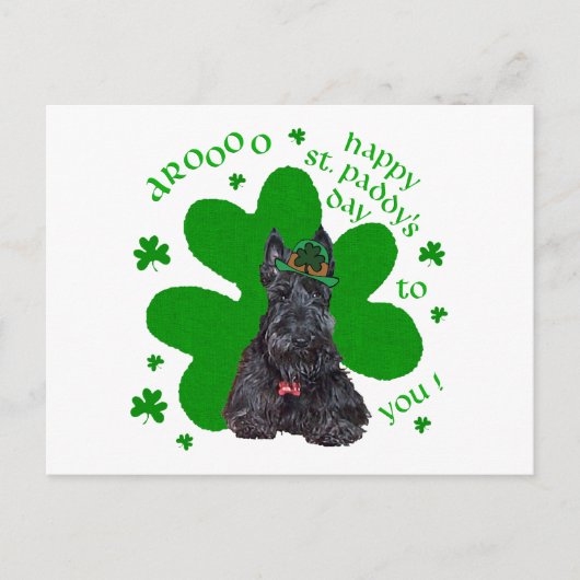 Schotse Terrier St. Paddys Day Briefkaart (Voorkant)