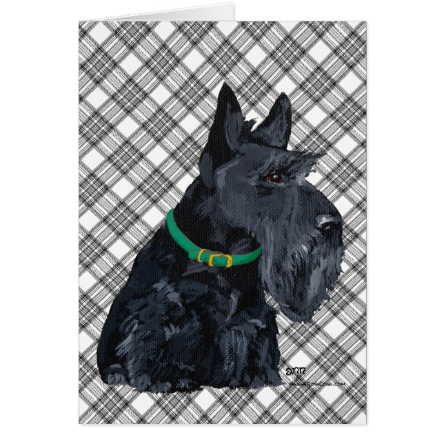 Schotse Terrier St. Patrick's Day (Voorkant)