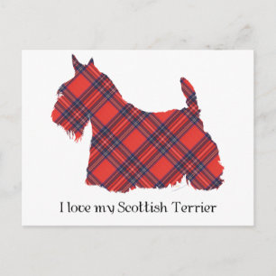 Schotse Terrier Stewart Tartan Briefkaart