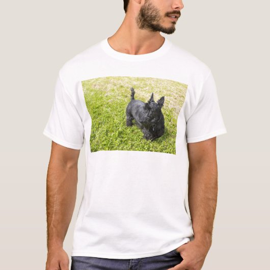 Schotse Terrier T-shirt (Voorkant)