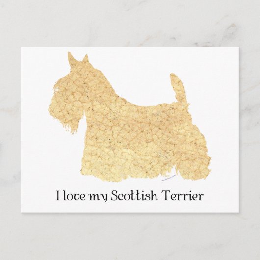Schotse Terrier Tarwe Silhouet Briefkaart (Voorkant)