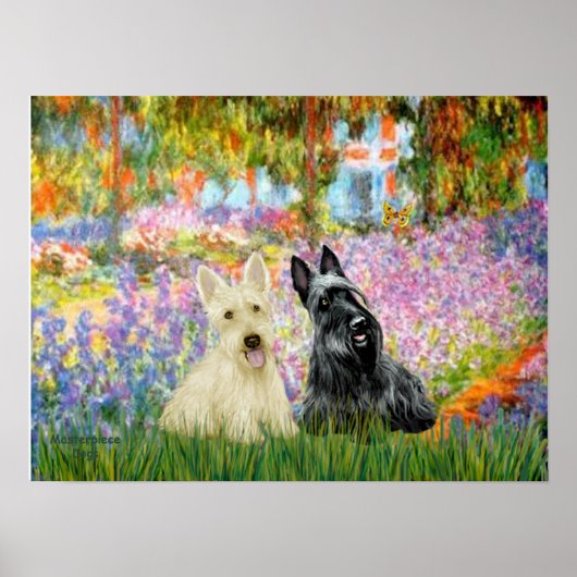Schotse Terrier (twee BW) - Tuin Poster (Voorkant)