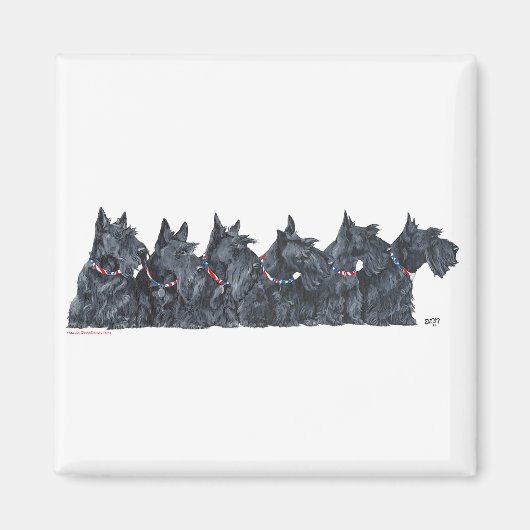 Schotse Terrier-verzameling Magneet (Voorkant)