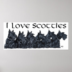 Schotse Terrier-verzameling Poster