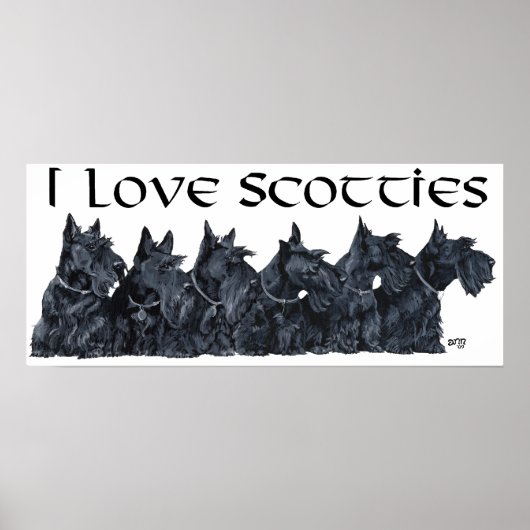 Schotse Terrier-verzameling Poster (Voorkant)