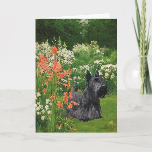Schotse Terrier Wenskaart Kaart (Voorkant)