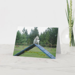 Schotse Terrier Wenskaart Kaart