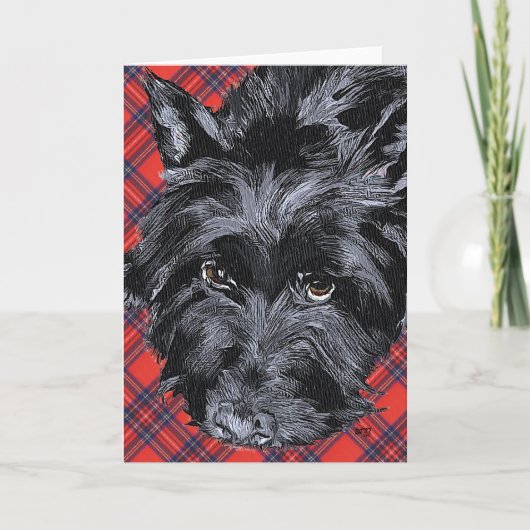 Schotse Terrier Wenskaart Kaart (Voorkant)