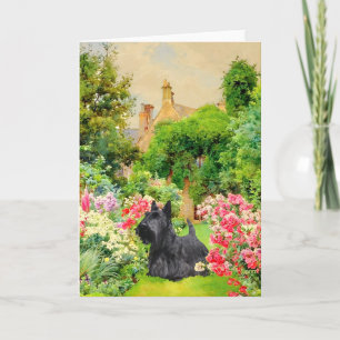 Schotse Terrier Wenskaart Kaart