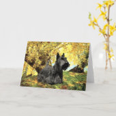 Schotse Terrier Wenskaart Kaart (Gele Bloem)