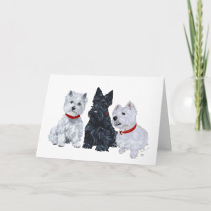 Schotse Terrier Wenskaart Kaart