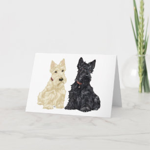 Schotse Terrier Wenskaart Kaart
