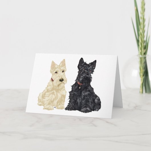 Schotse Terrier Wenskaart Kaart (Voorkant)