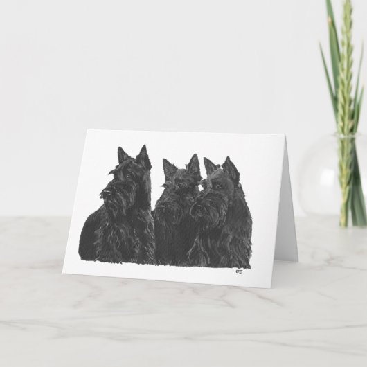 Schotse Terrier Wenskaart Kaart (Voorkant)