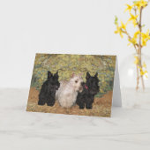 Schotse Terrier Wenskaart Kaart (Gele Bloem)
