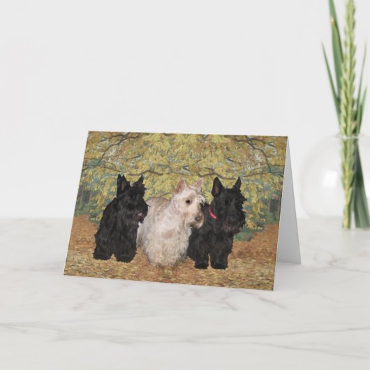 Schotse Terrier Wenskaart Kaart (Voorkant)