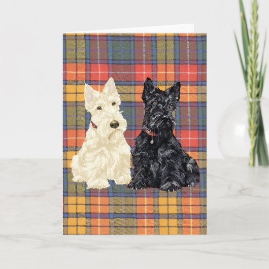 Schotse Terrier Wenskaart Kaart (Voorkant)