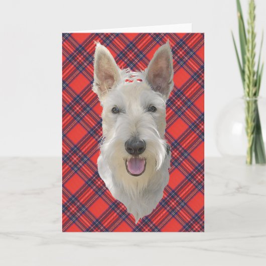 Schotse Terrier Wenskaart Kaart (Voorkant)